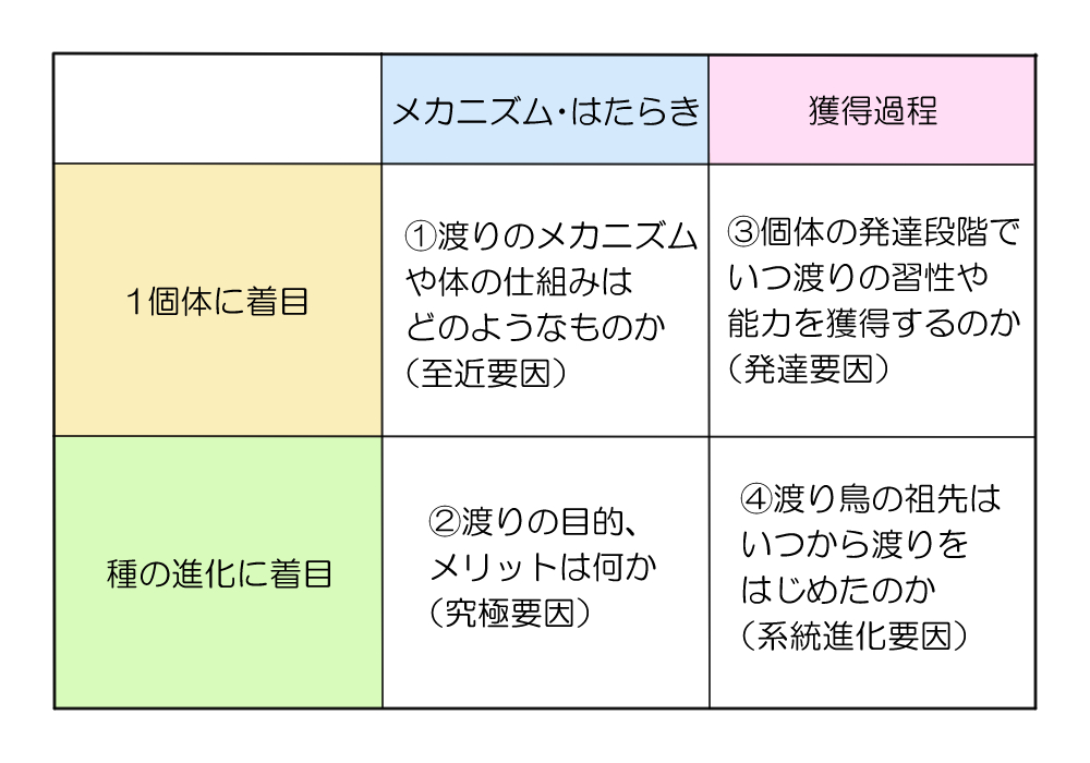 鳥はなぜ渡る? - Terravie log いきもの語り